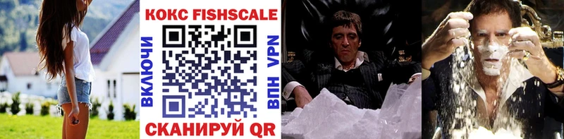 hydra как войти  что такое   Крымск  COCAIN Fish Scale 
