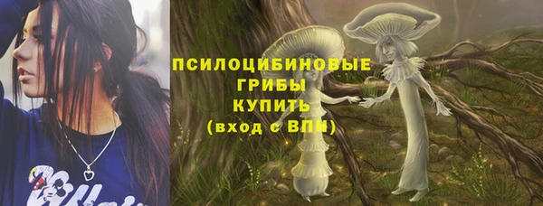 хмурый Алексеевка