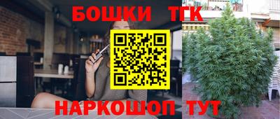СК Канаш