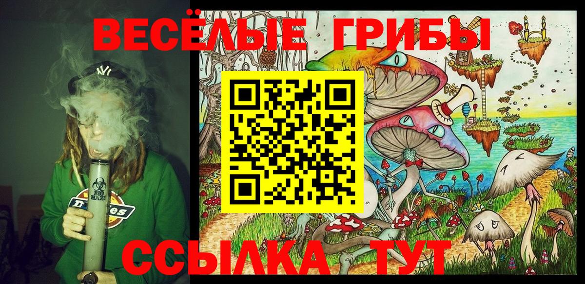 Галлюциногенные грибы Psilocybine cubensis Крымск